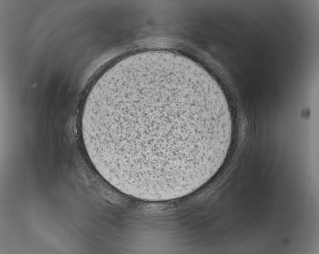 X0000114411166200911271519