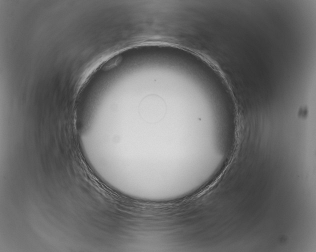 X0000114411167200911271519