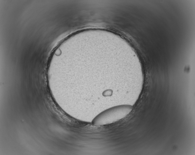 X0000114411168200911271519