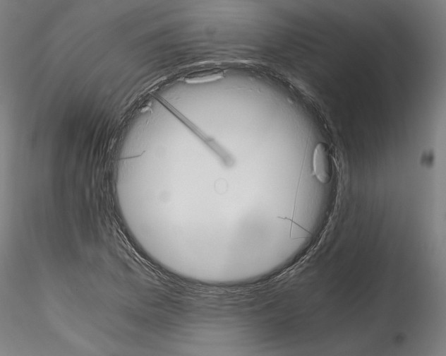 X0000114411169200911271519