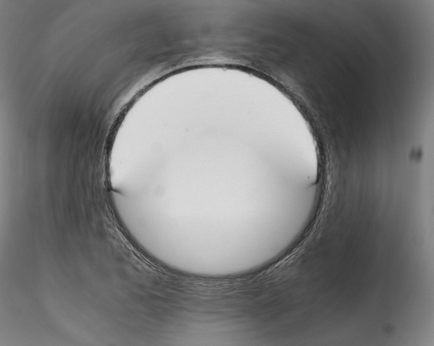 X0000114411173200911271519