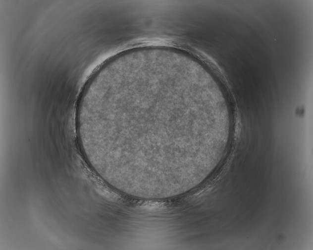 X0000114411174200911271519