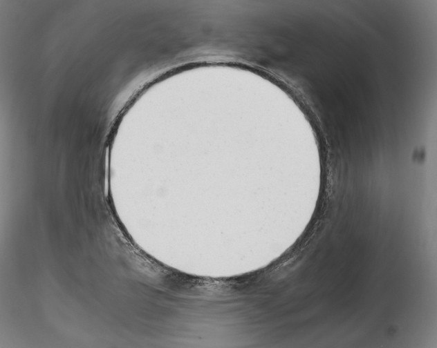 X0000114411175200911271519