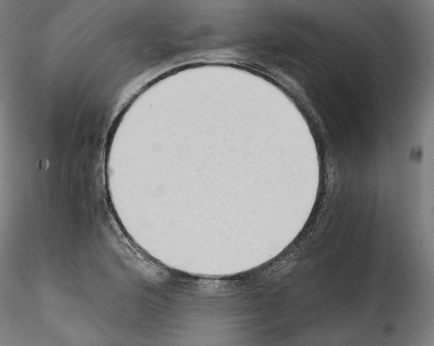 X0000114411176200911271519