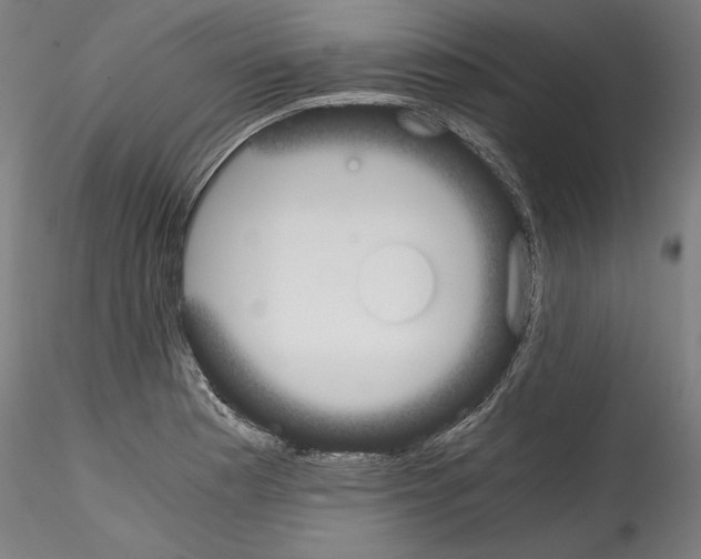 X0000114411177200911271519