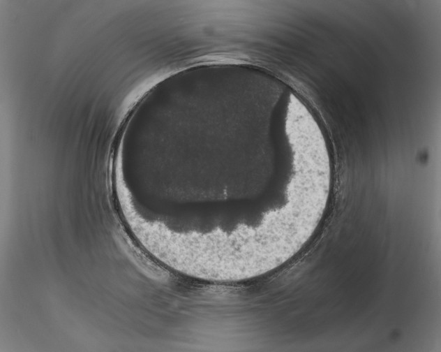 X0000114411179200911271519