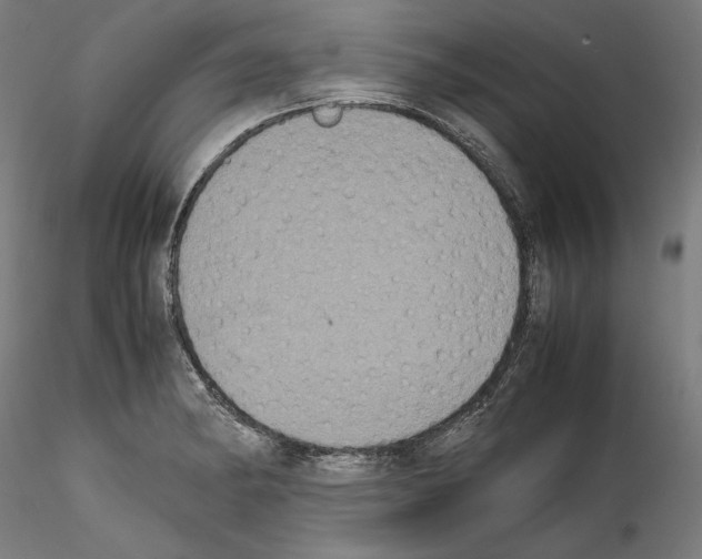 X0000114411182200911271519