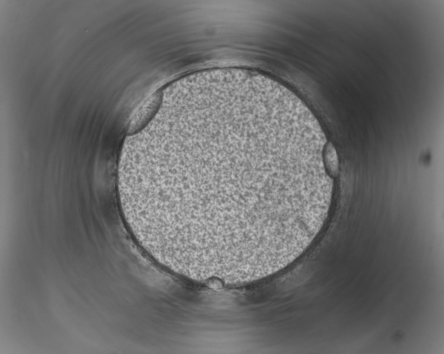 X0000114411185200911271519