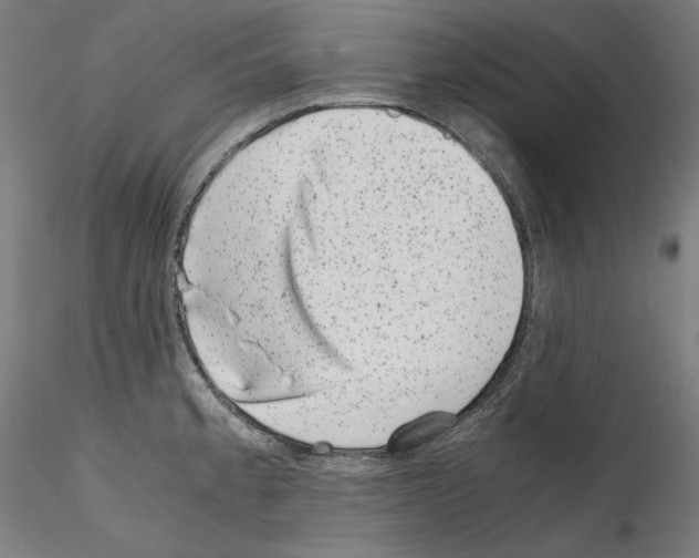 X0000114411189200911271519