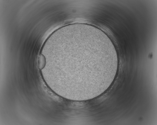 X0000114411190200911271519