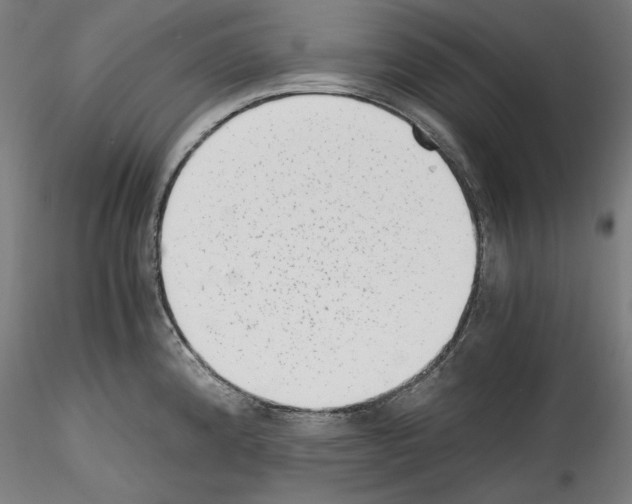 X0000114411192200911271519