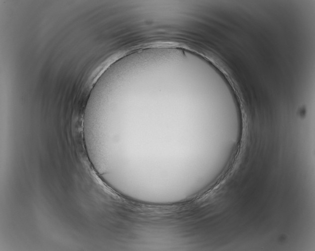 X0000114411193200911271519