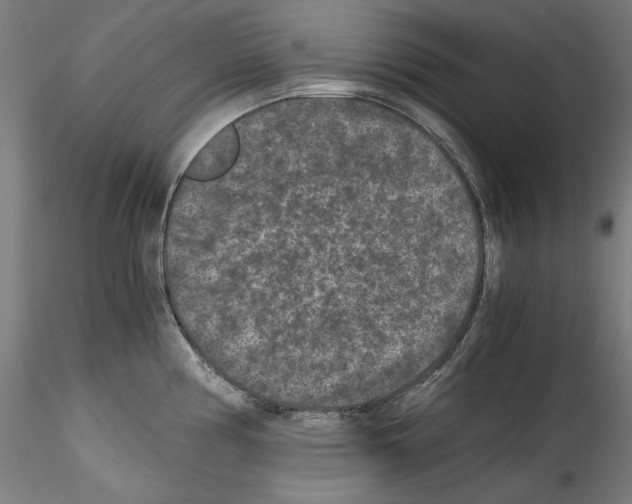 X0000114411194200911271519