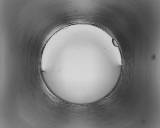 X0000114411195200911271519