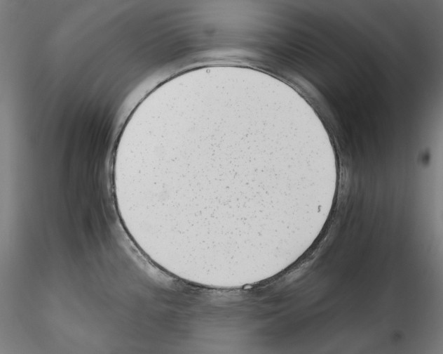 X0000114411196200911271519