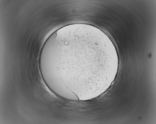 X0000114411197200911271519