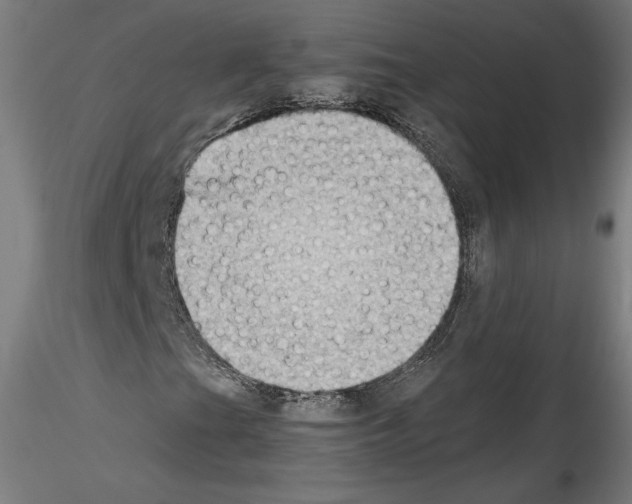 X0000114411201200911271518