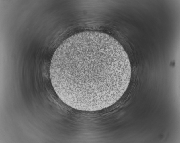 X0000114411202200911271518