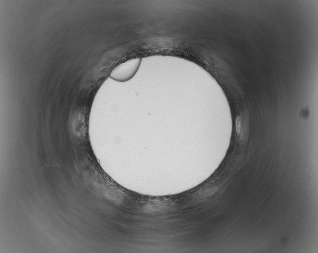 X0000114411203200911271518