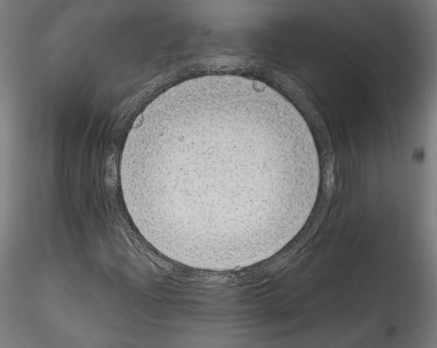 X0000114411204200911271518