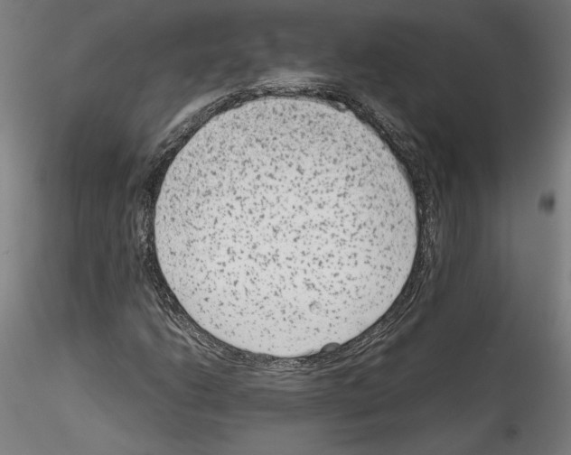 X0000114411206200911271518