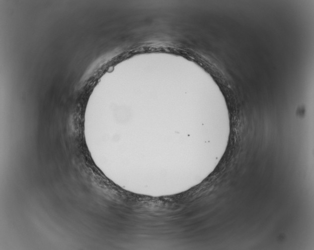 X0000114411207200911271518