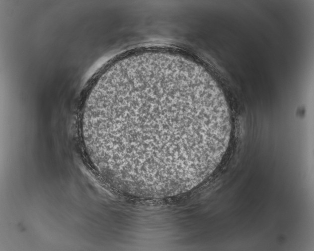 X0000114411208200911271518