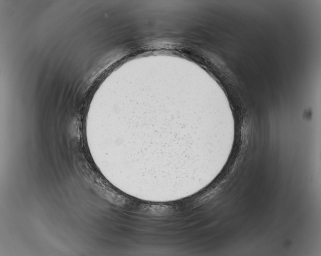 X0000114411209200911271518