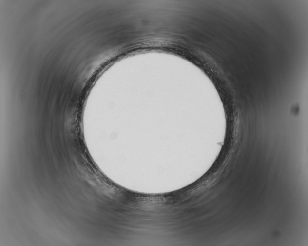 X0000114411210200911271518