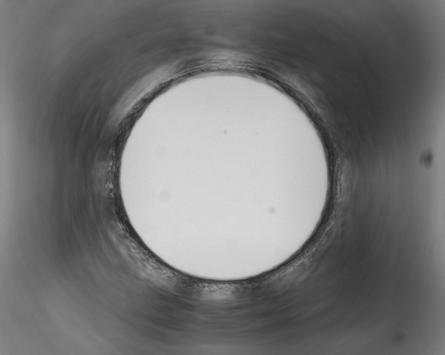 X0000114411211200911271518