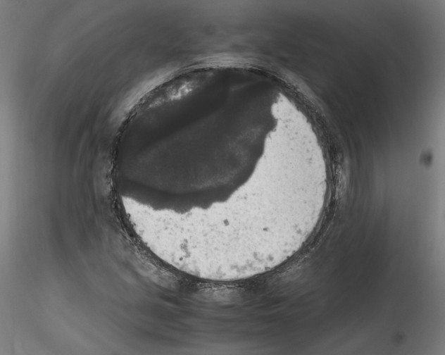 X0000114411213200911271518