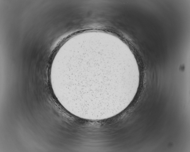 X0000114411214200911271518