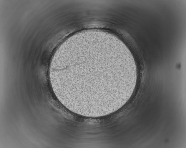 X0000114411217200911271518