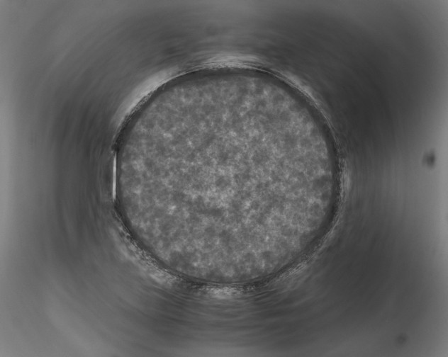 X0000114411219200911271518