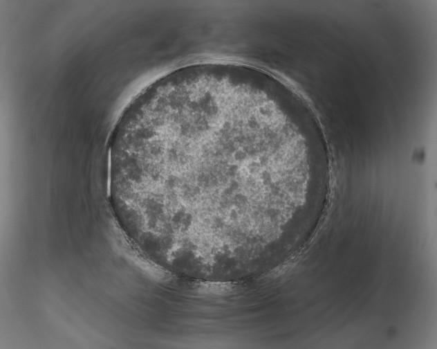 X0000114411223200911271518