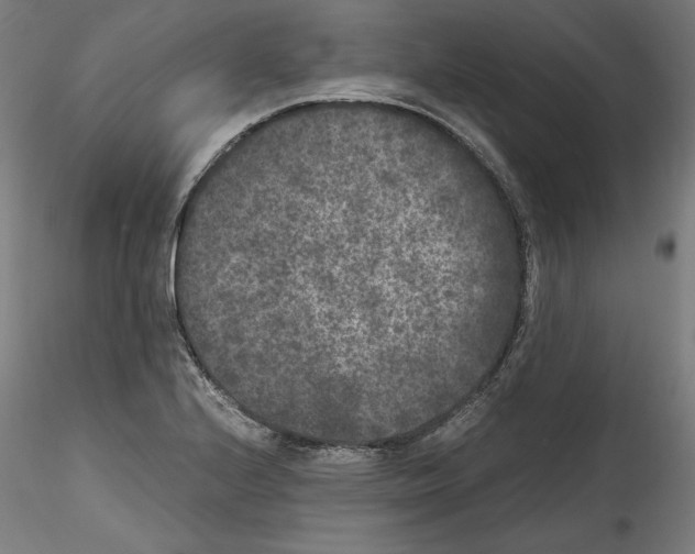 X0000114411224200911271518