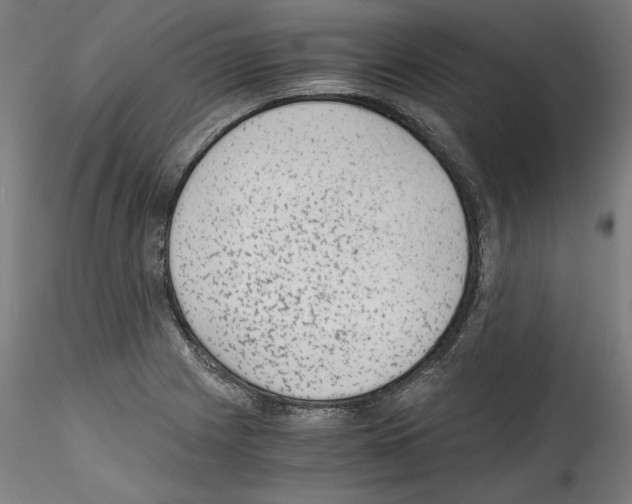 X0000114411225200911271518