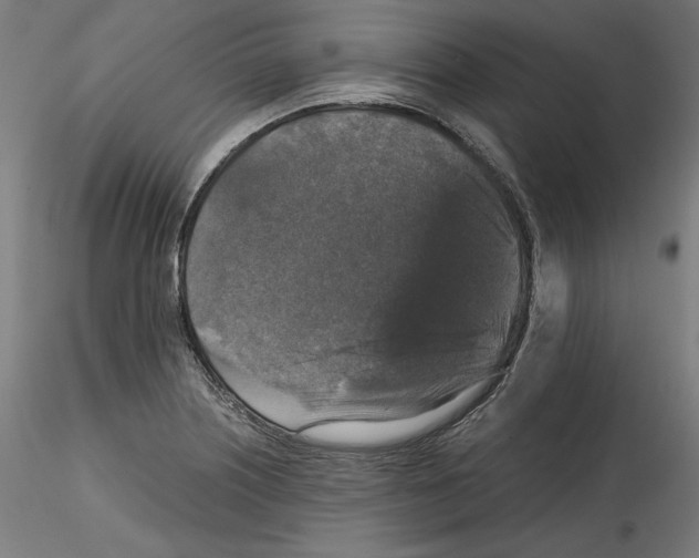 X0000114411226200911271518