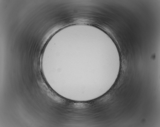 X0000114411227200911271518