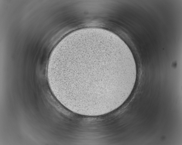 X0000114411228200911271518