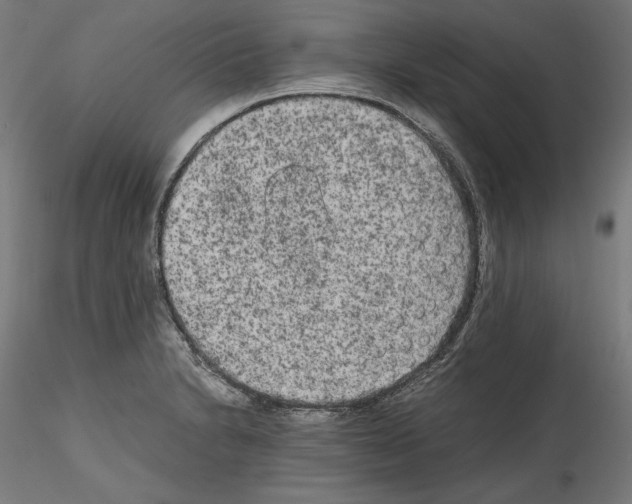 X0000114411230200911271518