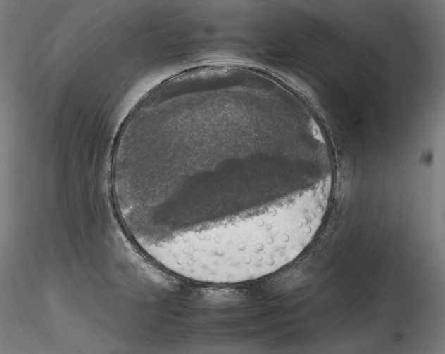 X0000114411231200911271518