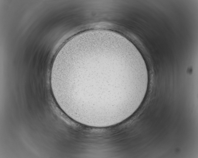 X0000114411232200911271518