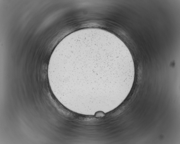 X0000114411233200911271518