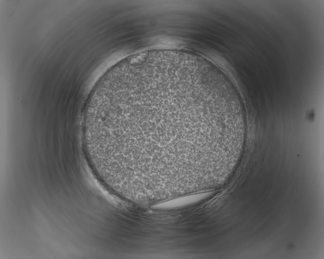 X0000114411235200911271518