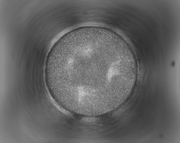 X0000114411237200911271518