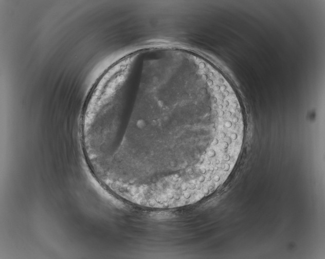 X0000114411239200911271518