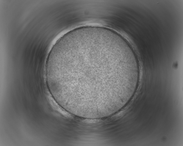 X0000114411240200911271518