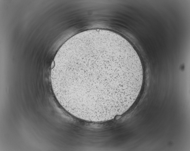 X0000114411241200911271518