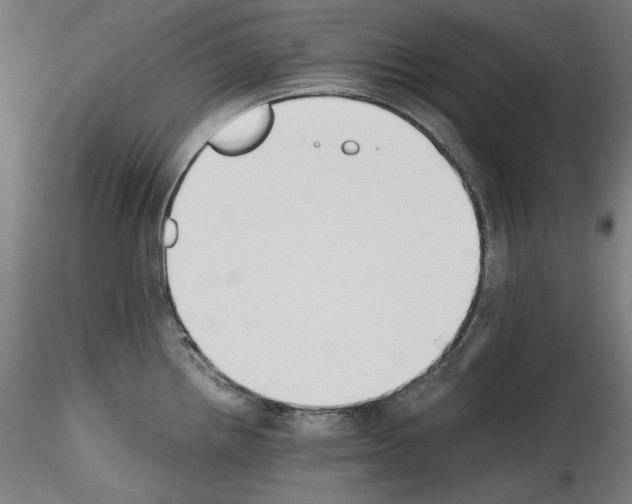 X0000114411242200911271518